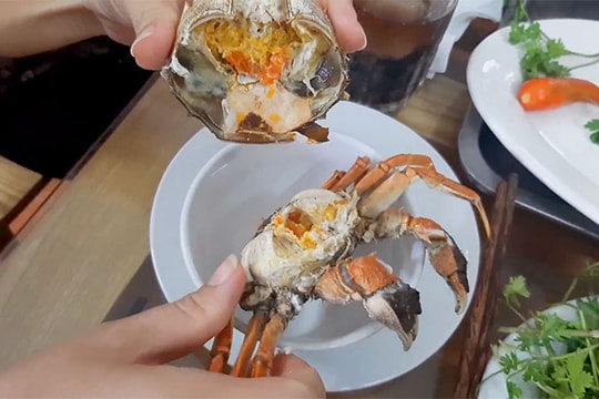 Bắt cà ra trên sông Văn Úc